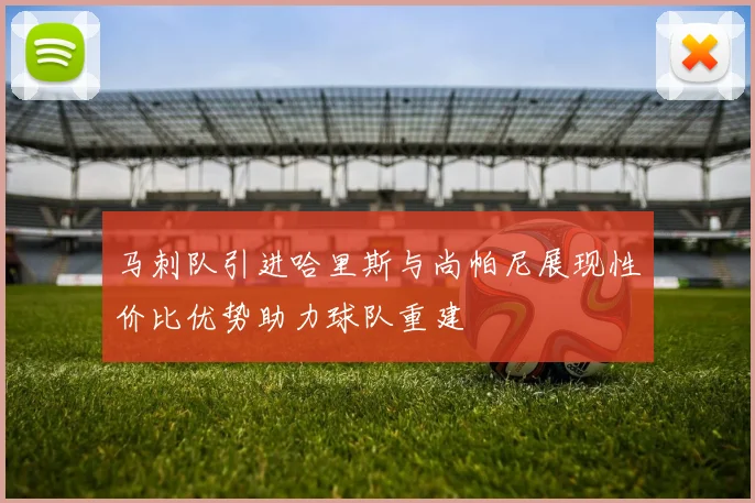 马刺队引进哈里斯与尚帕尼展现性价比优势助力球队重建